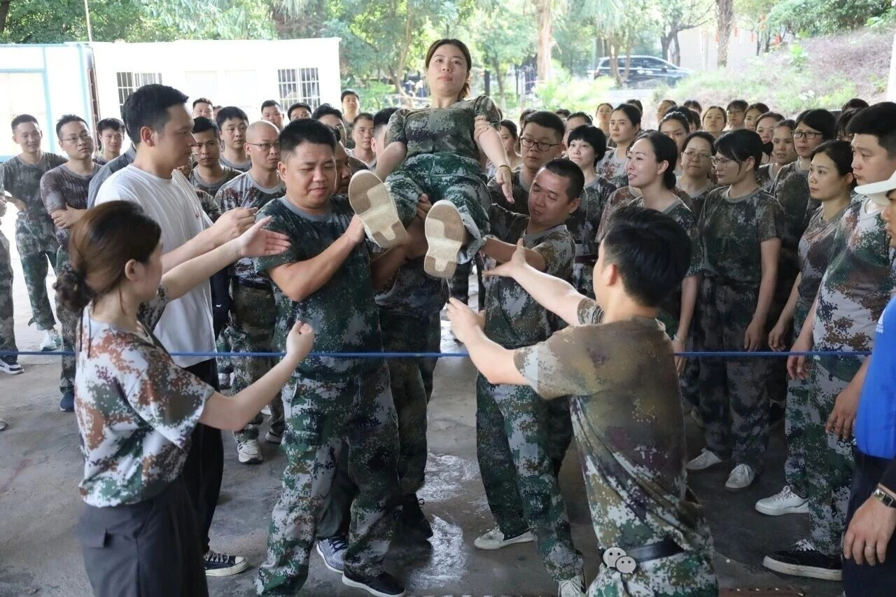 6a2a297dca3a7.png